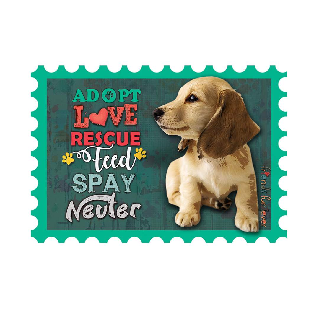 Adopt-Love-Rescue-Feed-Spay-Neuter.jpg