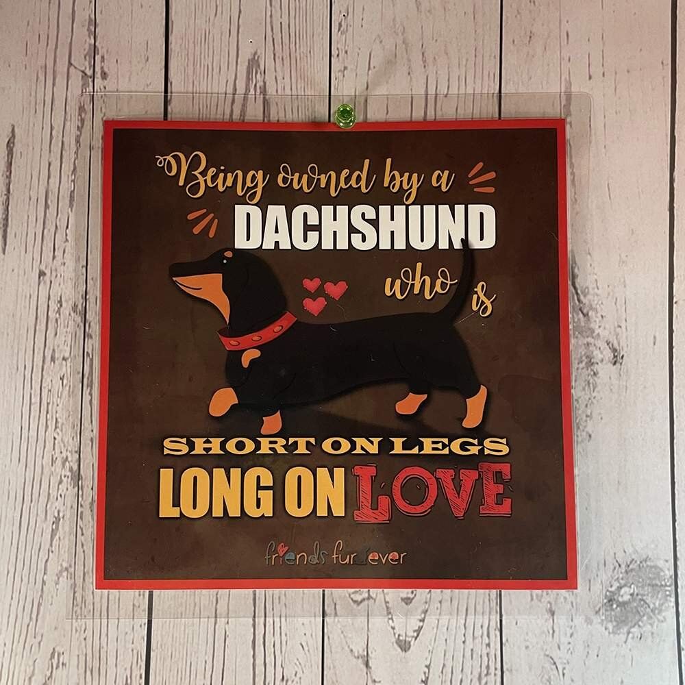 Dachshund.jpg