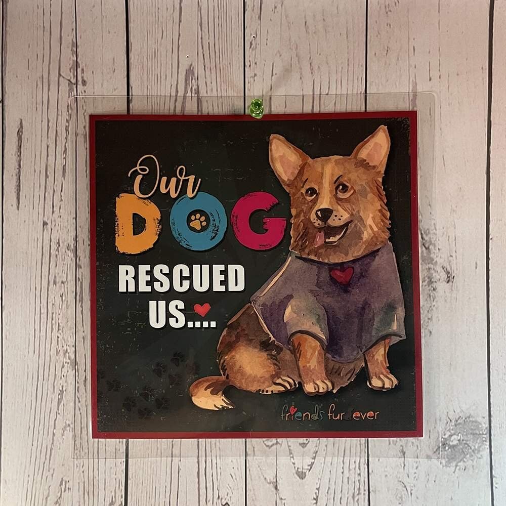 Dog-rescued-Us.jpg