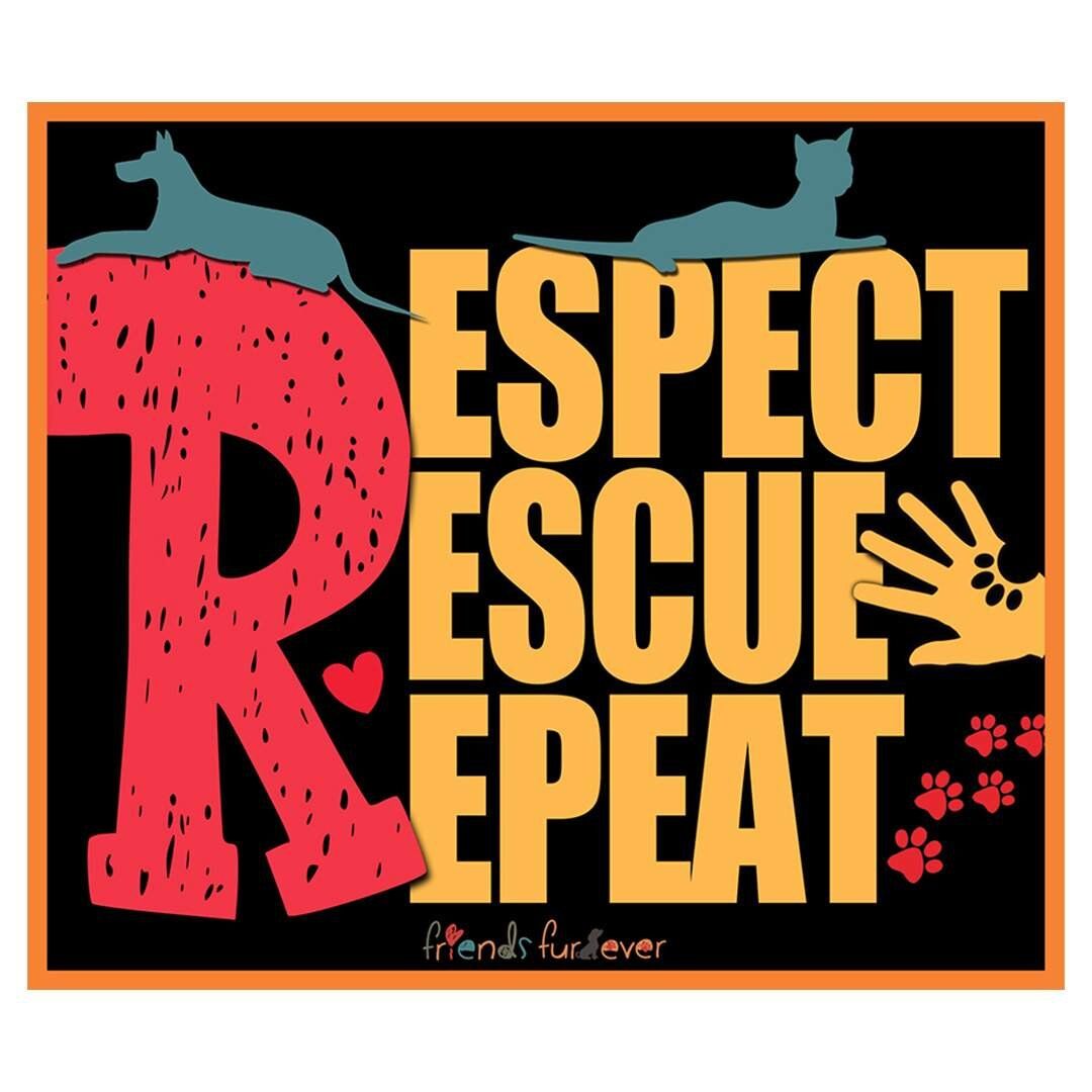 Respect-Rescue-Repeat.jpg